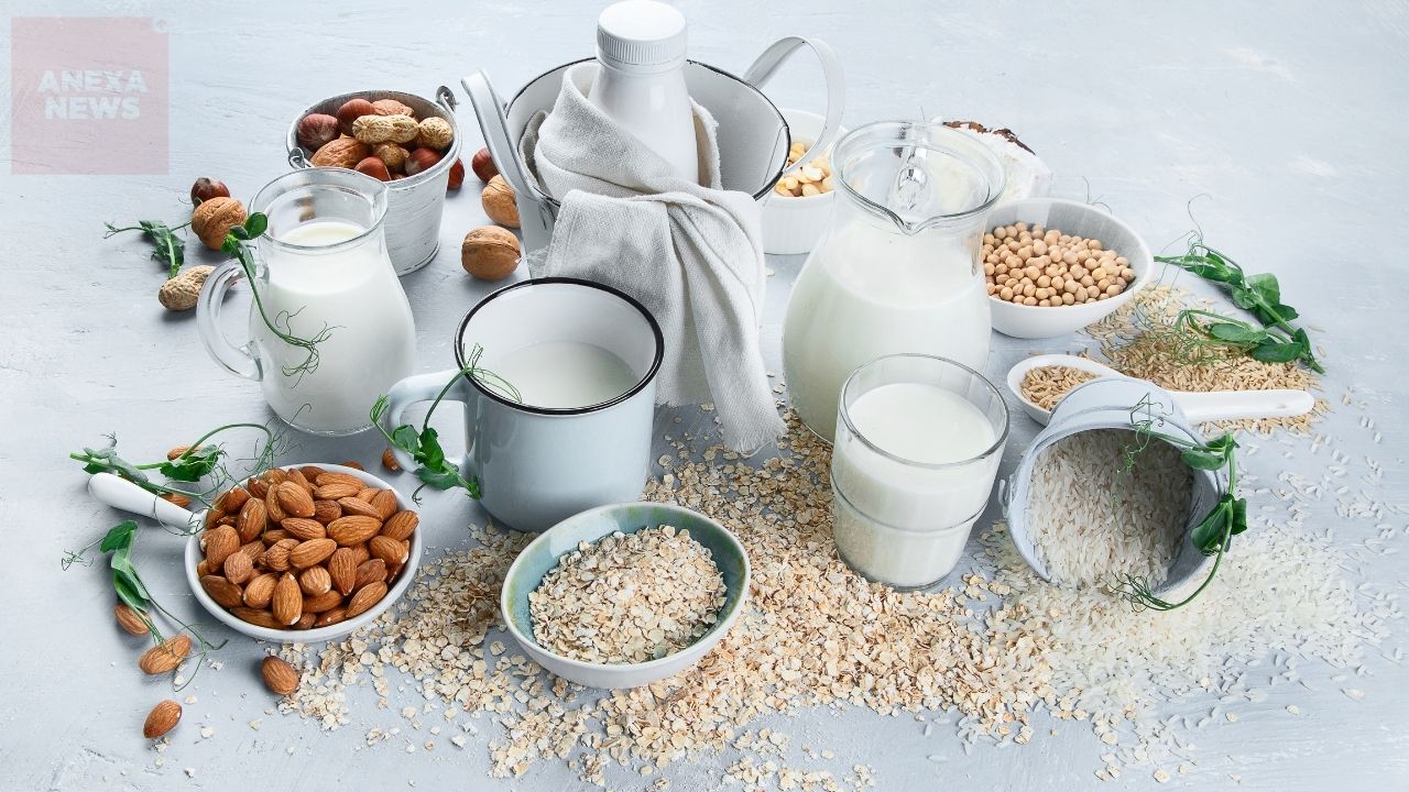 Benefits of Plant Based