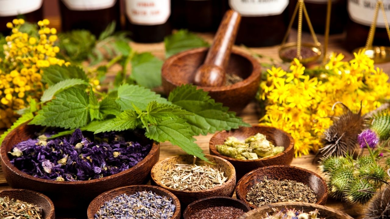 top 10 ayurvedic herbs to boost immunity